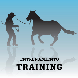 Entrenamiento